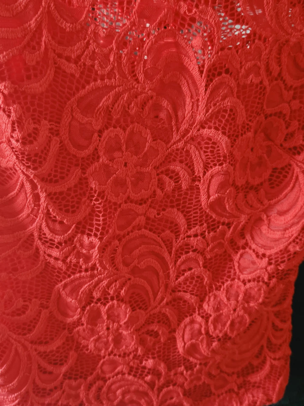 bebe Red Lace Blouse